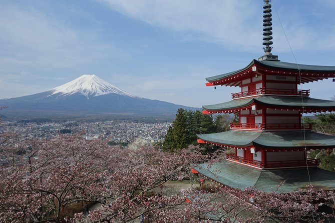 Barrier-Free Private Mt. Fuji Tour for Wheelchair Users