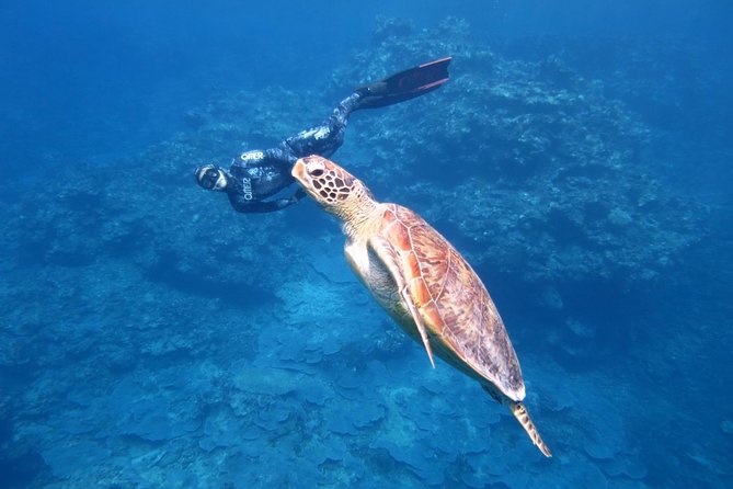 [Miyakojima, Diving Experience] Completely Charter Than 2 People Sea Turtle and Shark Sometimes Madaratobiei! Skin Diving at Deeper Points