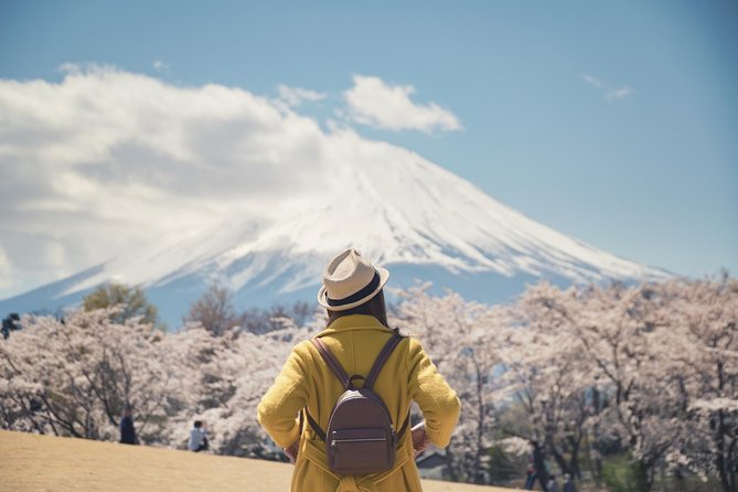 Mt Fuji Day Trip With Private English Speaking Driver