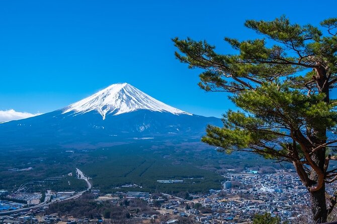 Mt. Fuji Private Tour by Car With Pick-Up From Tokyo