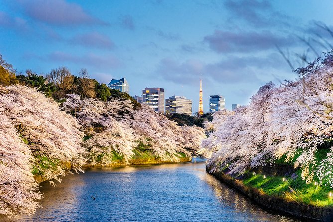 Tokyo Private Sightseeing Tour by English Speaking Chauffeur