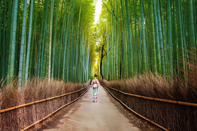 Arashiyama Walking Tour - Bamboo Forest, Monkey Park & Secrets - Exploring Tour Highlights and Reviews