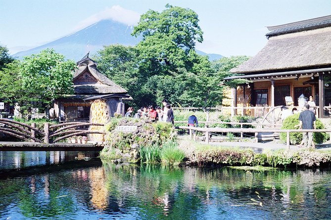 Barrier-Free Private Mt. Fuji Tour for Wheelchair Users - Travel Itinerary and Highlights