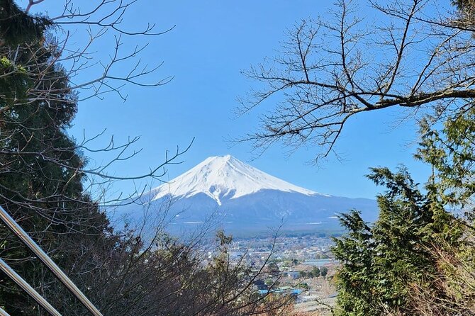 Day Mount Fuji Private Tour English Speaking Driver - Meet Your Driver