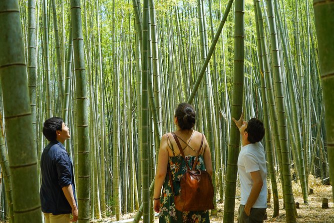 Fushimi Inari Hidden Hiking Tour - Hiking Tour Logistics and Inclusions