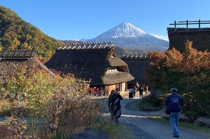 Mount Fuji: Private, Customized Tour From Tokyo - Cancellation Policy