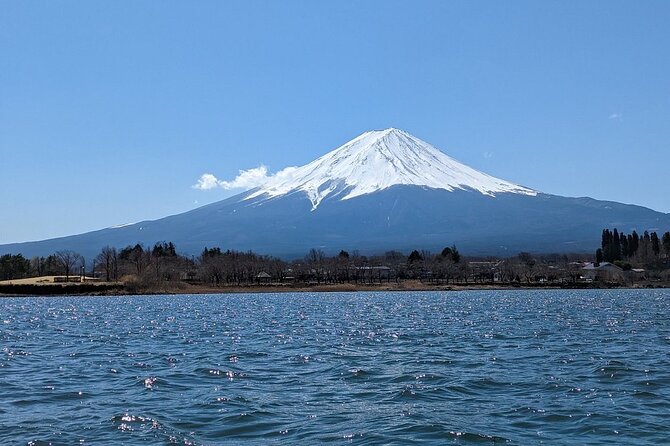 Mt. Fuji and Lake Kawaguchi Day Trip With English Speaking Driver - Your Private Driver and Guide