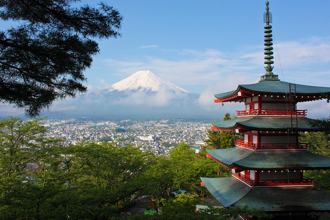 Mt Fuji Day Trip With Private English Speaking Driver - Expert Driver and Local Insights