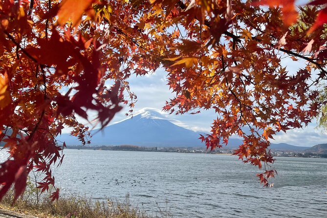 Mt. Fuji Private Tour With English Speaking Driver - Expert English Speaking Driver