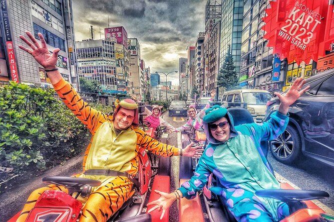 Private Go-Karting Tour of Shinjuku With Cartoon Costumes  - Tokyo - Safety First and Logistics