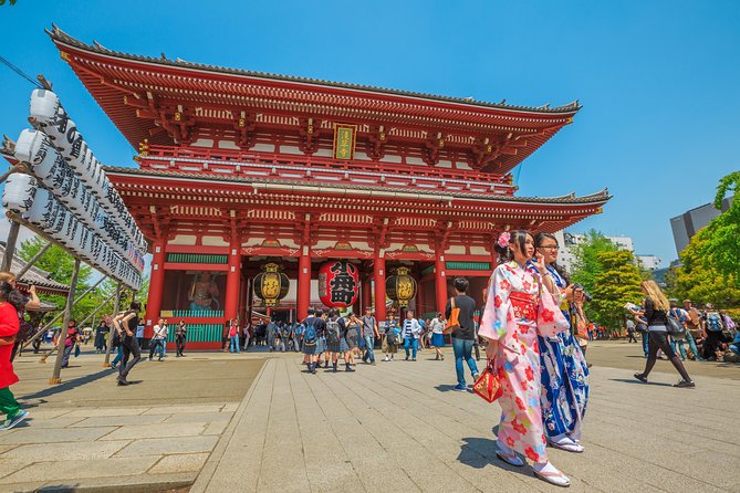 Tokyo Private Sightseeing Tour by English Speaking Chauffeur - Customizable Itinerary Options