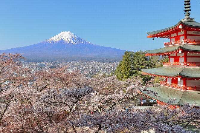 Full Day Tour to Mount Fuji in Spanish - What to Wear and Bring