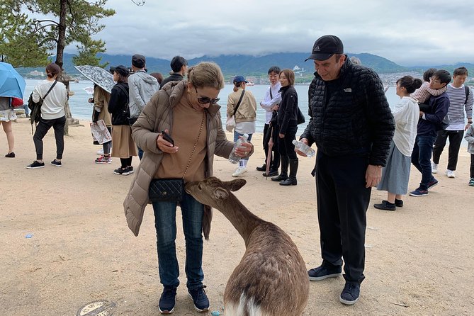 Hiroshima / Miyajima Full-Day Private Tour With Government Licensed Guide - Policies and Refunds