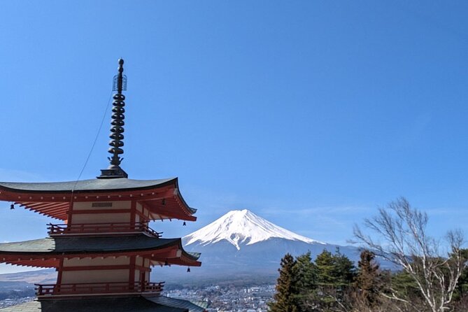 Mt. Fuji and Lake Kawaguchi Day Trip With English Speaking Driver - Customizing Your Itinerary