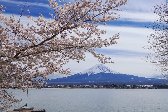 Mt. Fuji Private Tour With English Speaking Driver - Customizing Your Mt. Fuji Tour