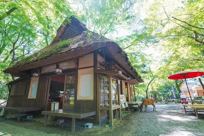 Nara Half Day Trip Walking Tour - Meeting Point and Tour Schedule