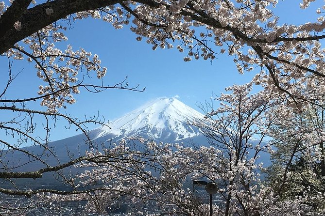 Private Car Tour to Mt. Fuji Lake Kawaguchiko or Hakone Lake Ashi - Activities and Experiences