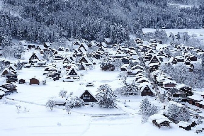 Shirakawago and Takayama 2 Days Tour From Nagoya - Food and Dining Options