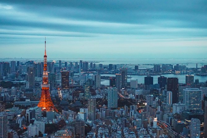 Tokyo Private Driving Tour by Car or Van With Chauffeur - Inclusions and Exclusions