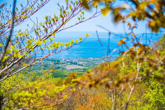 Usuzan Volcano Guided Hiking Private Tour - Itinerary and Tour Schedule