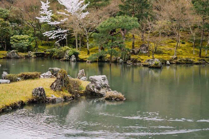 Arashiyama Walking Tour - Bamboo Forest, Monkey Park & Secrets - Navigating the Bamboo Forest Secrets