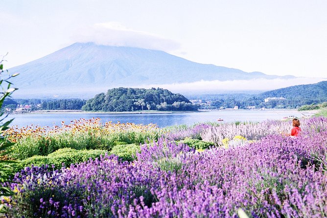 Barrier-Free Private Mt. Fuji Tour for Wheelchair Users - Cancellation and Refund Policy