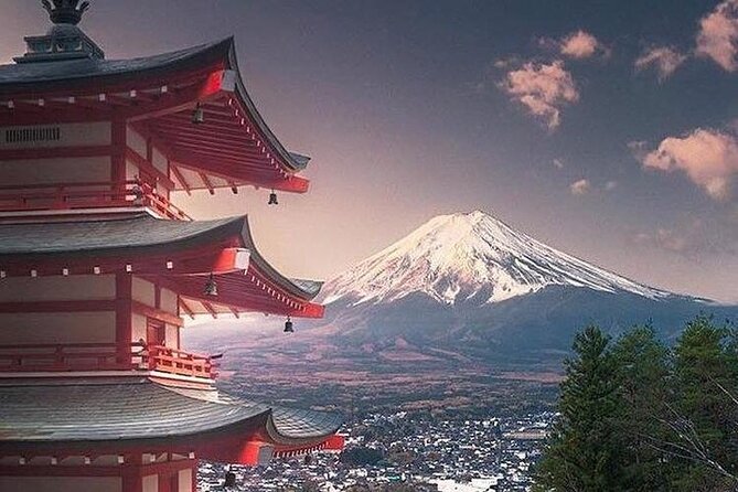 Mount Fuji: Private, Customized Tour From Tokyo - Tour Activities and Options