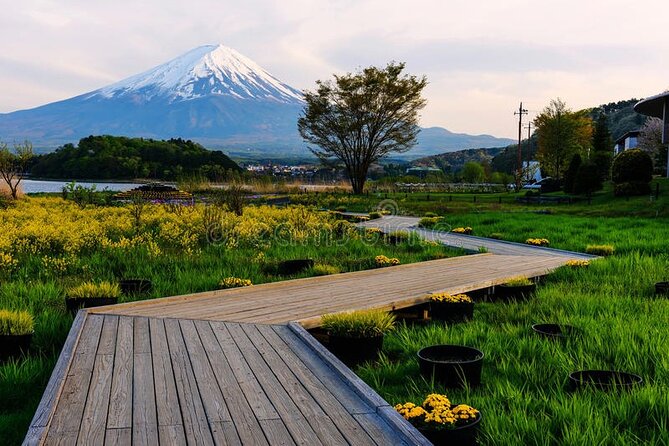 Mt. Fuji Private Tour With English Speaking Driver - Tour Highlights and Itinerary