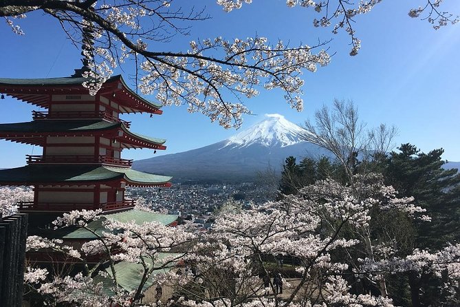 Private Car Tour to Mt. Fuji Lake Kawaguchiko or Hakone Lake Ashi - Meet Your Knowledgeable Guide