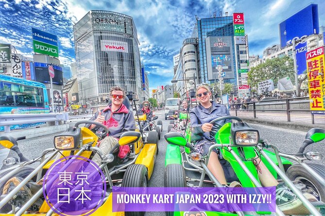 Private Go-Karting Tour of Shinjuku With Cartoon Costumes  - Tokyo - Meet Your Fun and Knowledgeable Guides