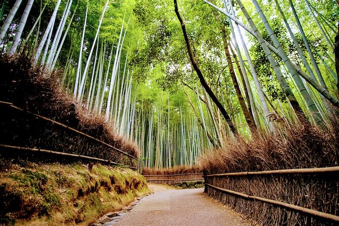 Arashiyama Walking Tour - Bamboo Forest, Monkey Park & Secrets - Discovering Monkey Park Delights