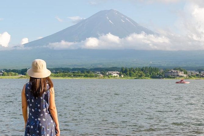 Mt Fuji Day Trip With Private English Speaking Driver - Reviews and Ratings Overview