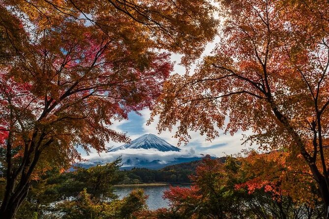 Mt. Fuji Private Tour by Car With Pick-Up From Tokyo - Customizable Itinerary Options