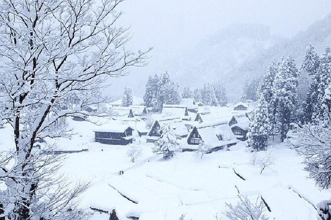 Shirakawago and Takayama 2 Days Tour From Nagoya - What to Expect