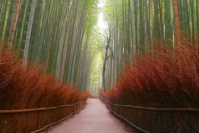 5 Top Highlights of Kyoto With Kyoto Bike Tour - Important Requirements and Notes