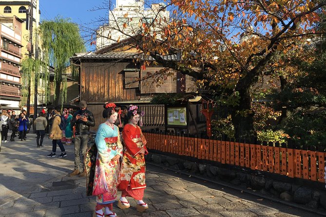 Bike Tour Exploring North Kyoto Plus Lunch - Pricing and Terms Details