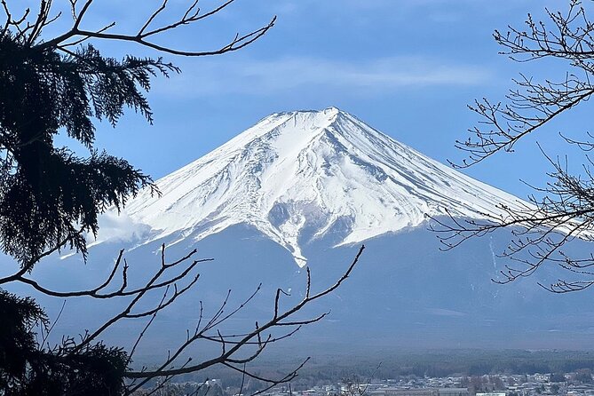 Mt. Fuji and Lake Kawaguchi Day Trip With English Speaking Driver - Pricing, Availability, and Policies