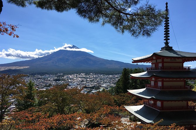 Private Car Tour to Mt. Fuji Lake Kawaguchiko or Hakone Lake Ashi - What to Expect on the Tour