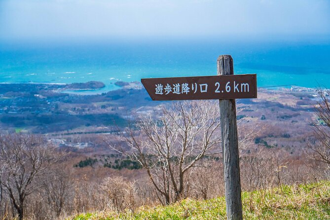 Usuzan Volcano Guided Hiking Private Tour - Pricing and Payment Options