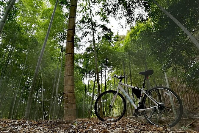 Arashiyama Bamboo Bike Tour (Early Bird) - Essential Information to Know