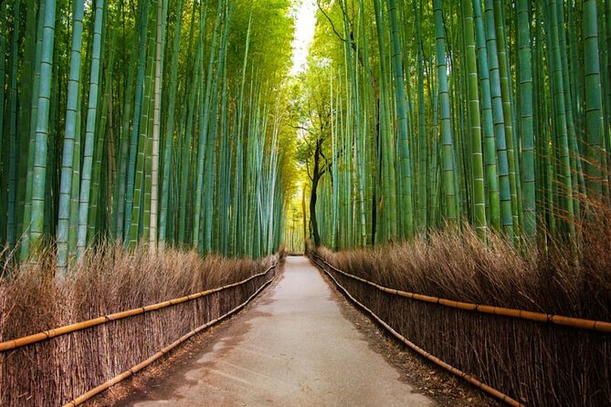 Arashiyama Walking Tour - Bamboo Forest, Monkey Park & Secrets - Unlocking Hidden Gems and Surprises