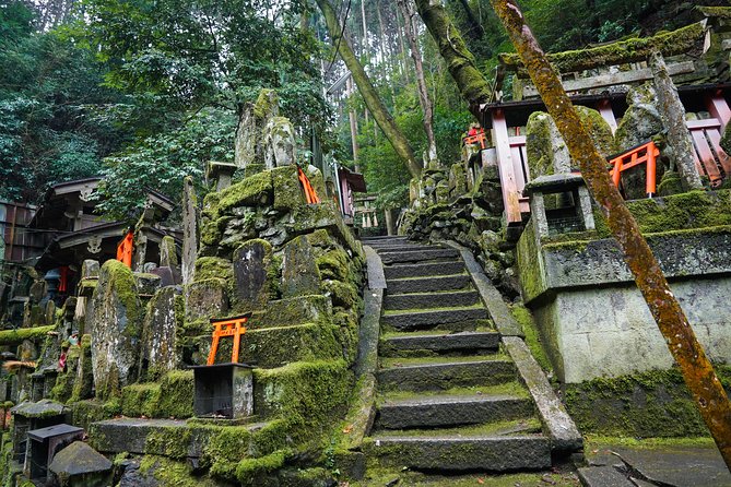 Fushimi Inari Hidden Hiking Tour - What to Expect on the Hike