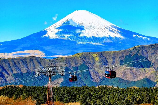 Mt Fuji and Hakone 1-Day Bus Tour Return by Bus - Is This Tour Right for You