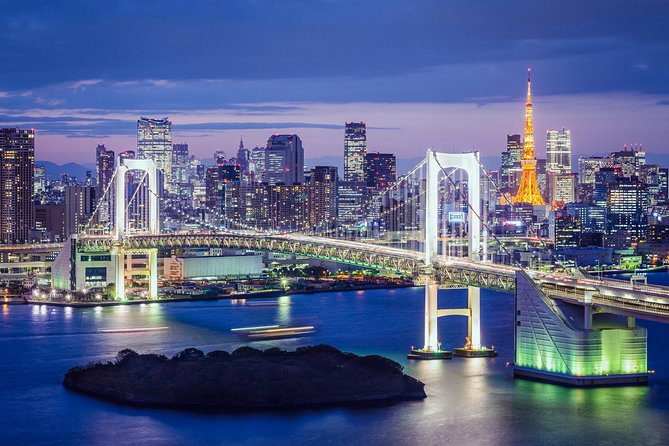 Tokyo Private Sightseeing Tour by English Speaking Chauffeur - Value and Recommendation