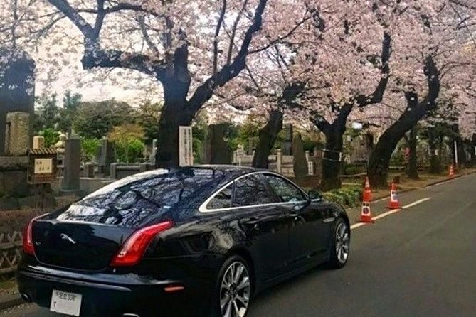 Tokyo Private Sightseeing Tour by English Speaking Chauffeur - Private Chauffeur Services