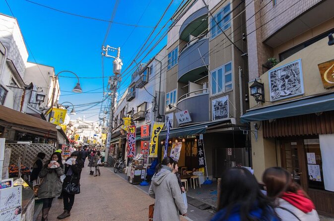 Experience Old and Nostalgic Tokyo: Yanaka Walking Tour - Just The Basics