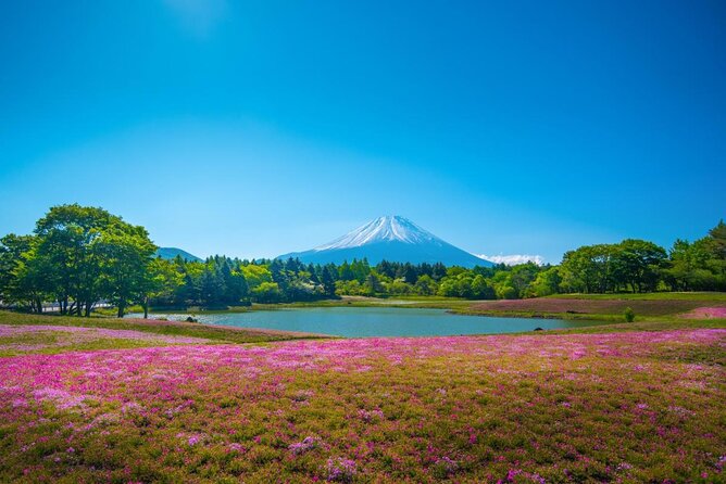 Full Day Tour to Mount Fuji in Spanish - Just The Basics