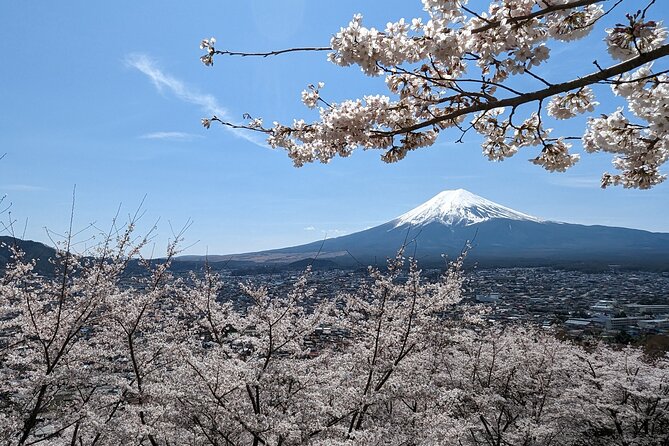 Private Car Tour to Mt. Fuji Lake Kawaguchiko or Hakone Lake Ashi - Just The Basics