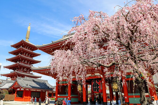 Tokyo Full-Day Sightseeing Tour by Coach With Lunch Option - Just The Basics