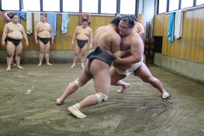 Tokyo Sumo Early-Morning Practice Tour in Ryogoku - Just The Basics